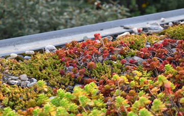 the cost of Lempitlaw green roof installation